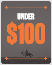 Sale $100 and Under