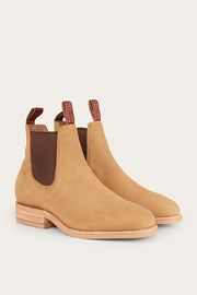 camel