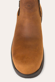chestnut