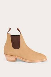 camel