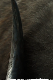 Block full width item image